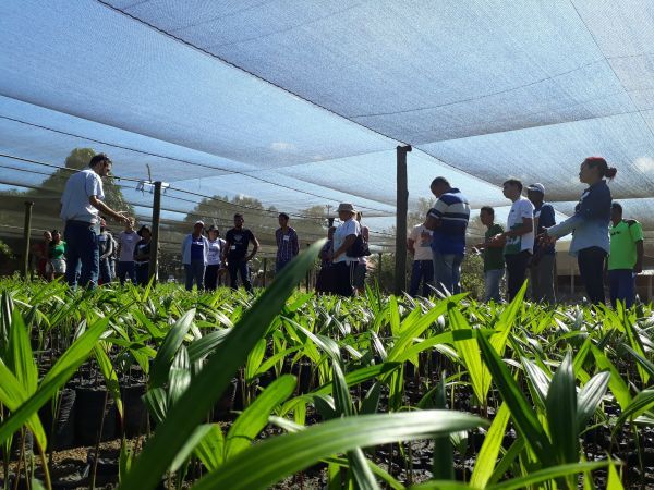 Encontro de associações irá definir ações de execução do projeto Plantar Rondônia
