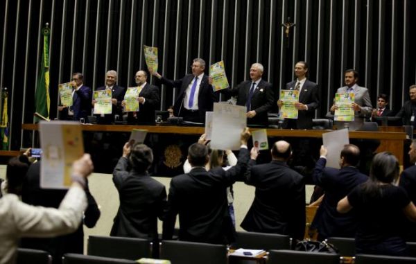 Década da Agricultura Familiar no Brasil é lançada na Câmara dos Deputados