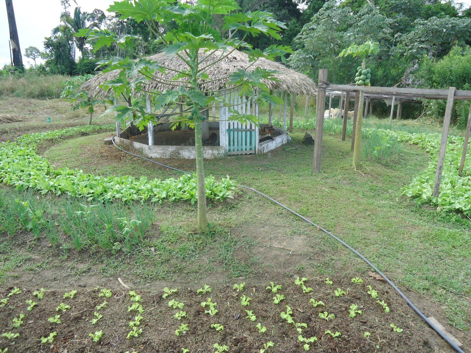 Governo aprova Plano Nacional de Agroecologia e Produção Orgânica (PLANAPO) 