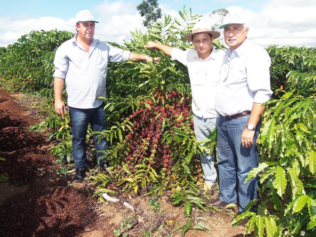 CRESOL participa de agenda da cafeicultura em Rondônia