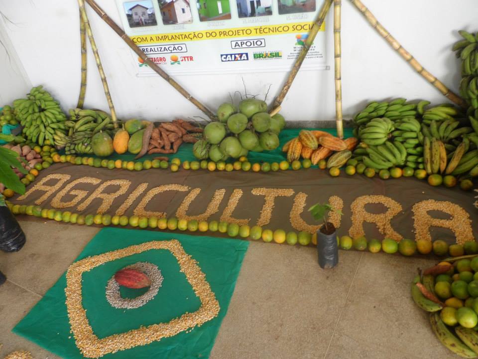 Agricultores comemoram Ano Internacional da Agricultura Familiar em Jaru
